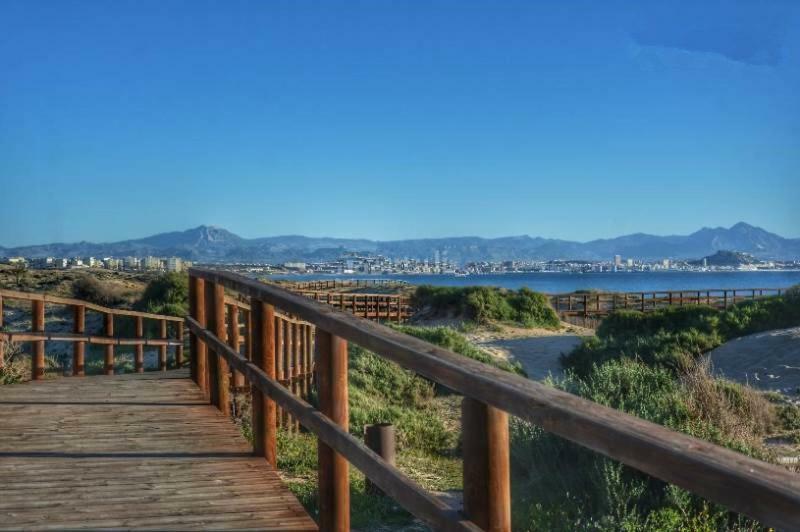 Apartamento Con Terraza 50M2，500M A La Playa Lägenhet Arenales del Sol Exteriör bild